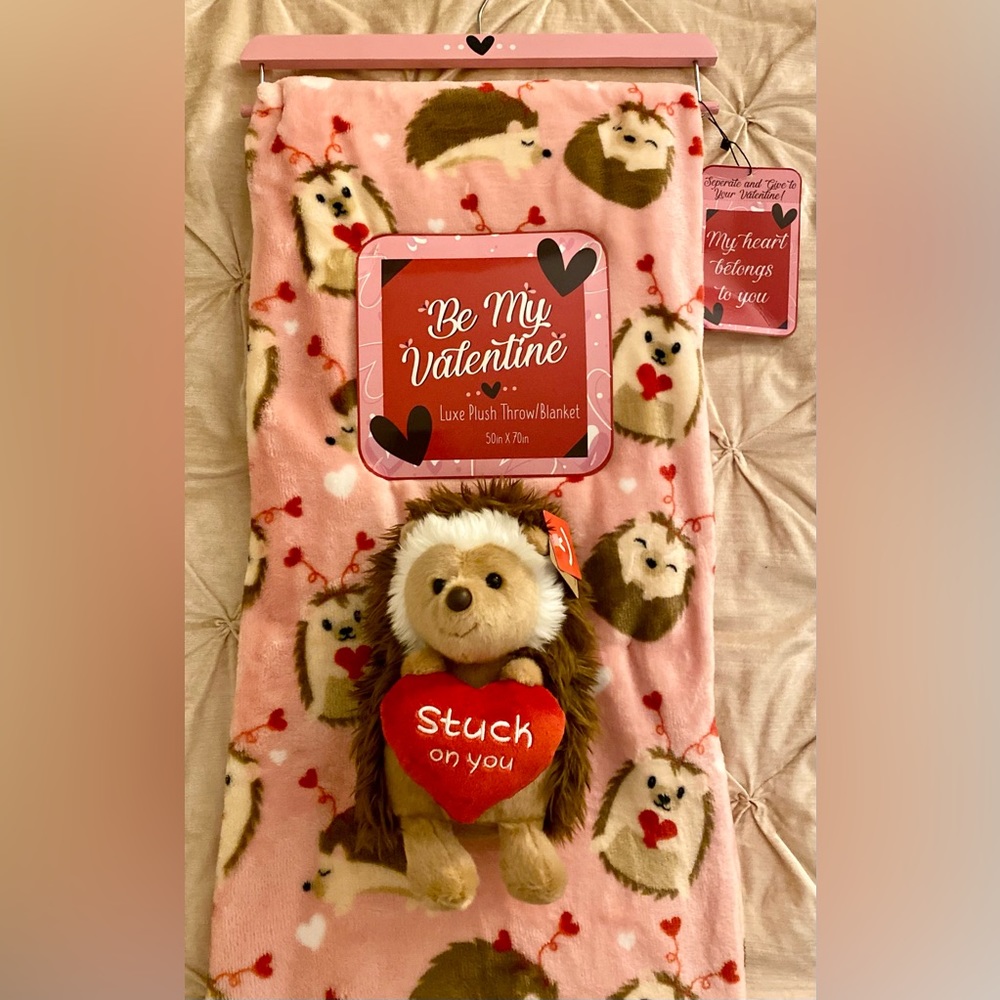 Valentines Day Pink Hedgehog Throw Blanket & Plush Hedgehog